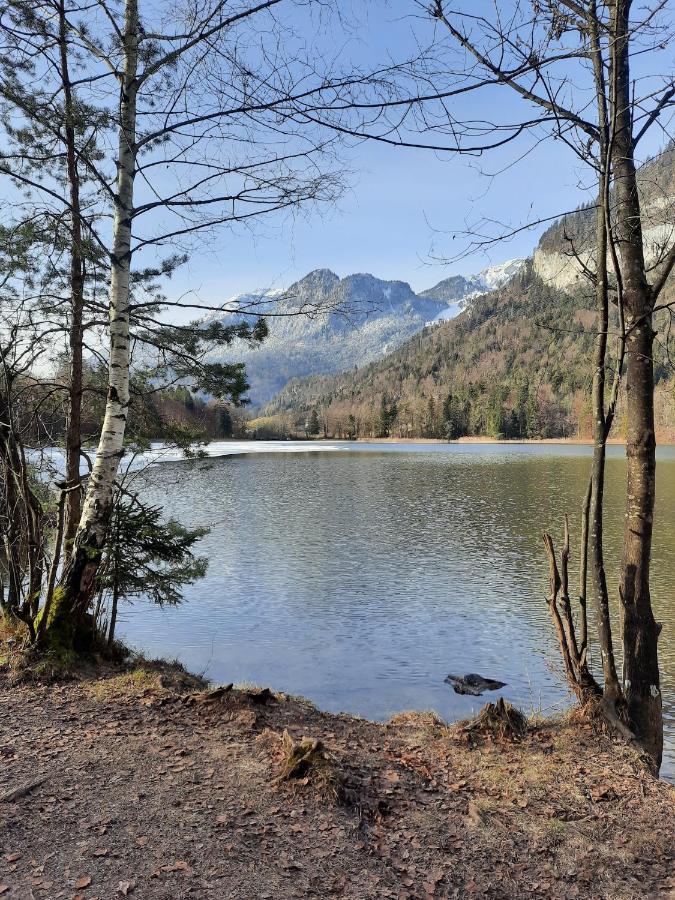 Haus Gmahblick Ferienwonungen Ξενοδοχείο Alpbach Εξωτερικό φωτογραφία