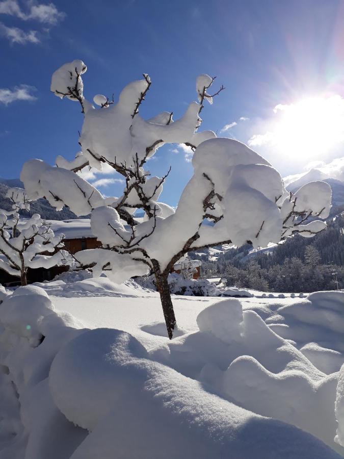 Haus Gmahblick Ferienwonungen Ξενοδοχείο Alpbach Εξωτερικό φωτογραφία