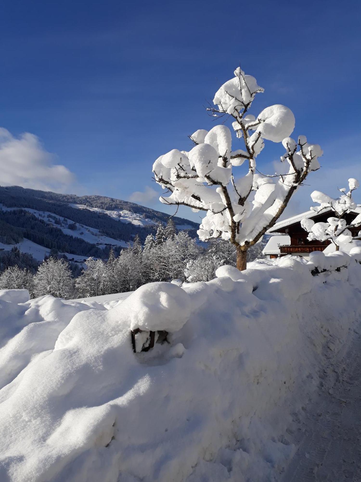 Haus Gmahblick Ferienwonungen Ξενοδοχείο Alpbach Εξωτερικό φωτογραφία