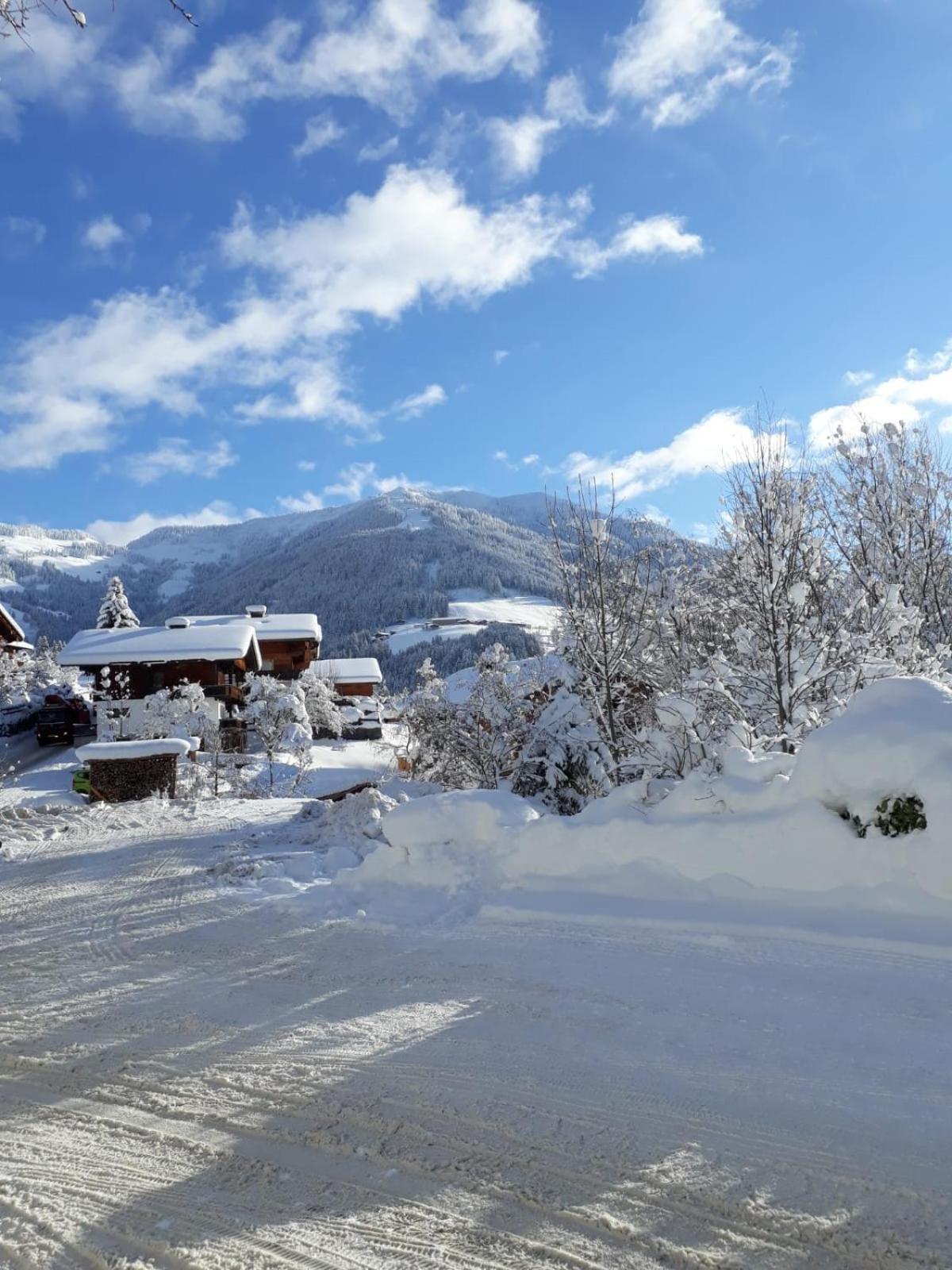Haus Gmahblick Ferienwonungen Ξενοδοχείο Alpbach Εξωτερικό φωτογραφία